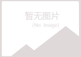 阜新细河女孩出版有限公司